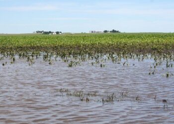 बिहार में बाढ़ ने किसानों को किया बर्बाद. 875.27 करोड़ का नुकसान. सरकार को मिली रिपोर्ट