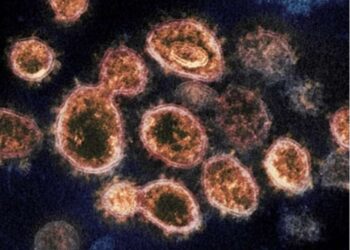 Uncontrollable corona in Bihar, today a total of 4526 new corona infected.