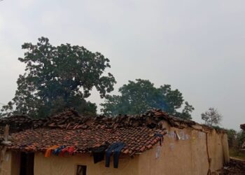 गया में नक्सलियों का तांडव. 4 की घर में घुसकर हत्या. दो भाई और उनकी पत्नियां मारी गई.