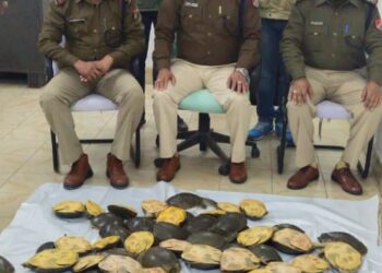 61 tortoises recovered from Gaya Junction, this is how they were being smuggled