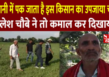ठंडे पानी में पक जाता है इस किसान का उपजाया चावल,पश्चिम चम्पारण के कमलेश चौबे ने तो कमाल कर दिखाया