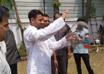 12 तोते और 8 मुनिया को मंत्री तेज प्रताप यादव ने किया रिहा, जानिए छापेमारी करने के क्यों दिए निर्देश