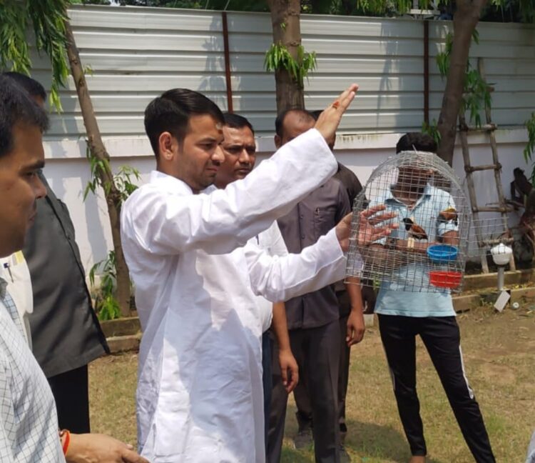 12 तोते और 8 मुनिया को मंत्री तेज प्रताप यादव ने किया रिहा, जानिए छापेमारी करने के क्यों दिए निर्देश