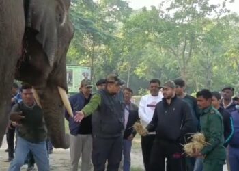 वाल्मिकी टाइगर रिजर्व पहुंचे तेजस्वी, हाथियों ने दिया आर्शीवाद