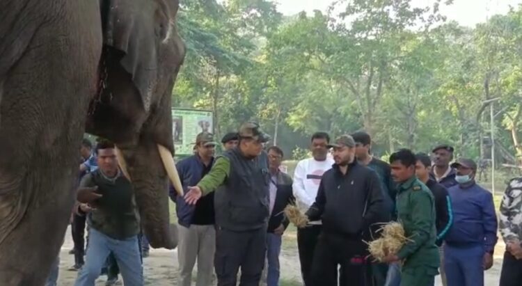 वाल्मिकी टाइगर रिजर्व पहुंचे तेजस्वी, हाथियों ने दिया आर्शीवाद