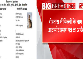 Application for residential certificate in the name of cat in Rohtas