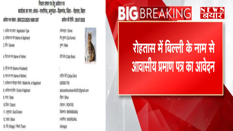 Application for residential certificate in the name of cat in Rohtas